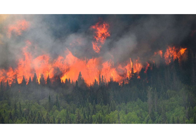 STATO DI AGGIORNAMENTO CATASTO DELLE AREE PERCORSE DAL FUOCO
