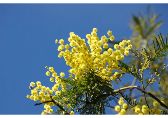8 MARZO: UN CALENDARIO DI EVENTI IN OCCASIONE DELLA GIORNATA INTERNAZIONALE DELLA DONNA