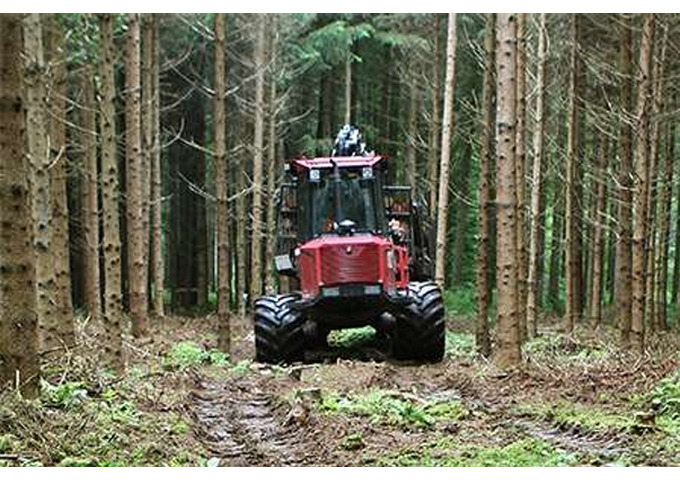 PROROGA TERMINI DI ESBOSCO