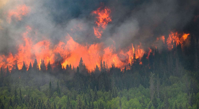 STATO DI AGGIORNAMENTO CATASTO DELLE AREE PERCORSE DAL FUOCO