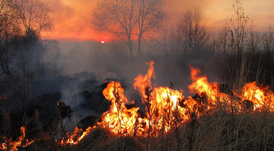 Aree percorse dal fuoco: aggiornamento del catasto comunale degli incendi boschivi