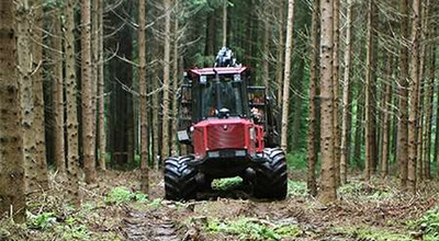PROROGA TERMINI DI ESBOSCO